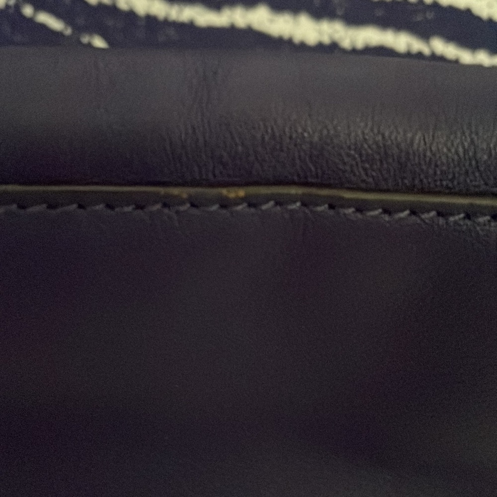 PRE💜 AUTHENTIC Unique, Dark Purple Zebra Coach handbag! Excellent condition. - Picture 6 of 14